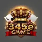345E Game
