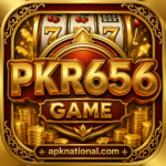 PKR 356 Game